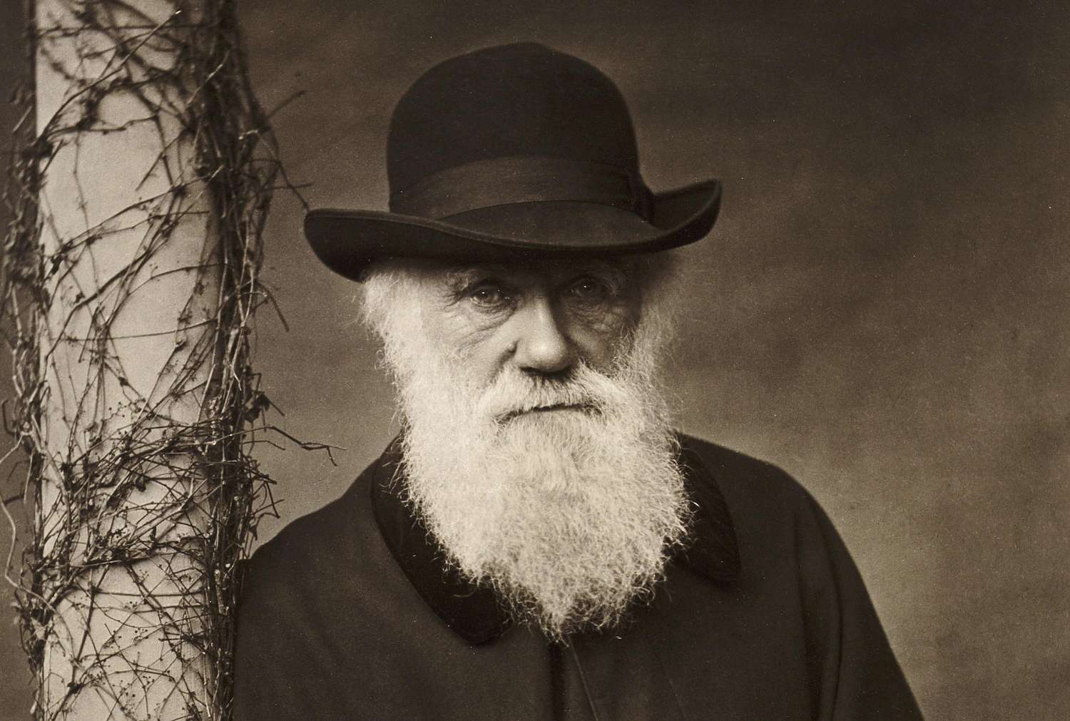 Photo of Charles Darwin