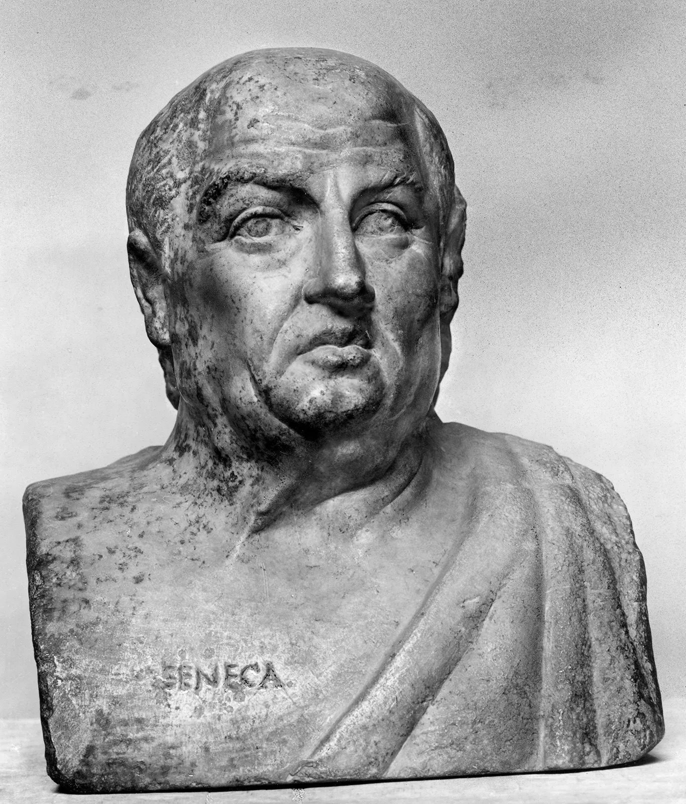 Photo of Seneca