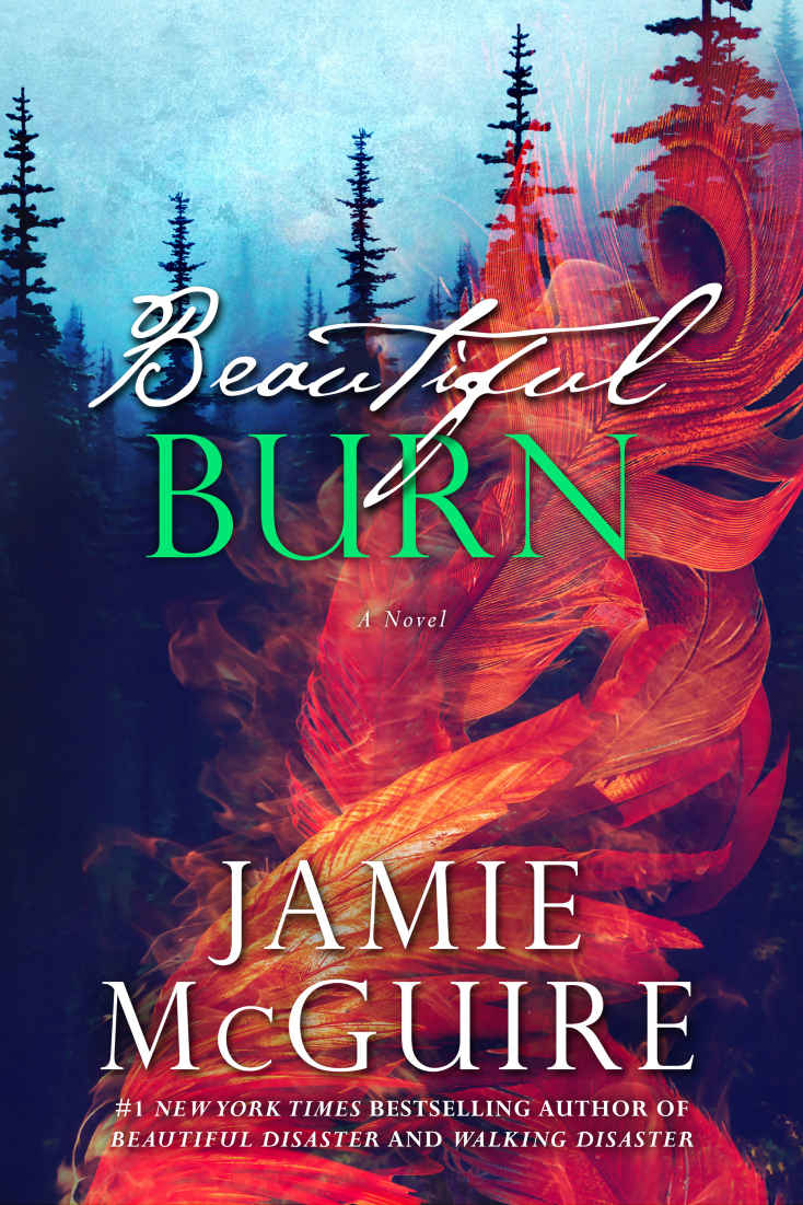 Cover of Beautiful Burn