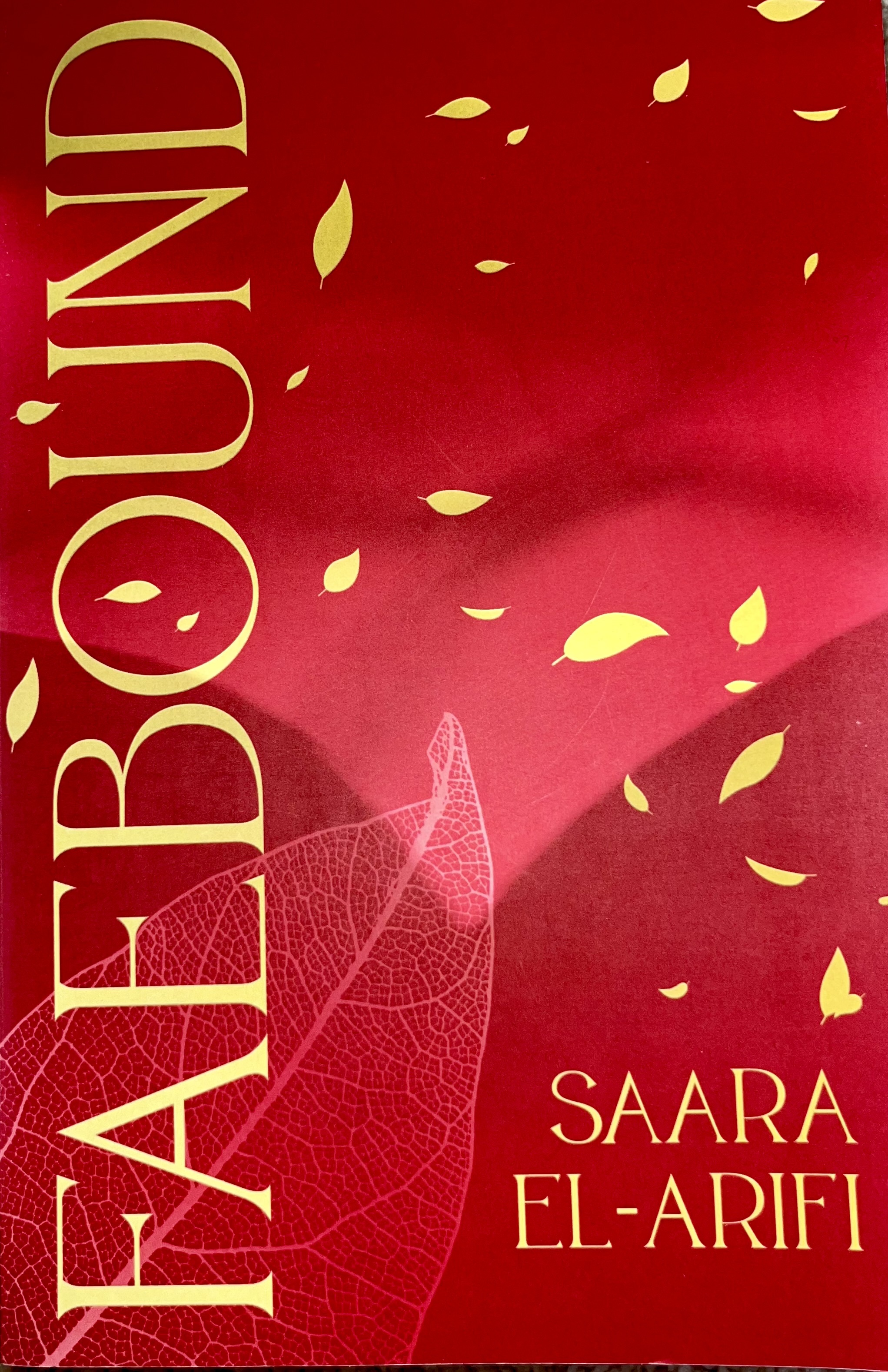 Cover of Faebound