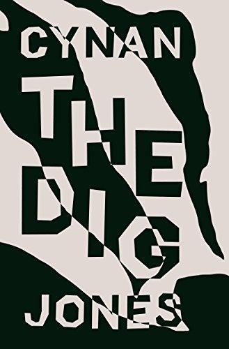 Cover of The Dig