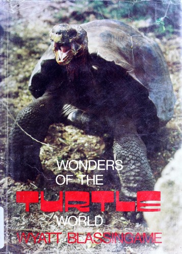 Wonders of the turtle world