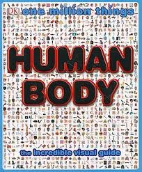 Cover of Human body