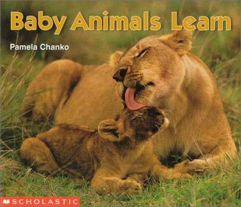 Cover of Baby animals learn