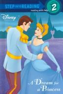 A dream for a princess