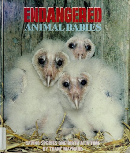 Cover of Endangered animal babies