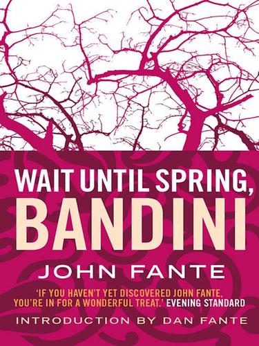 Cover of Wait Until Spring Bandini