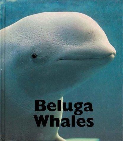 Beluga whales