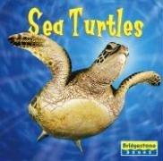 Cover of Sea turtles
