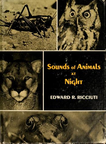 Sounds of animals at night