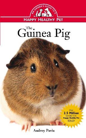 Guinea Pig