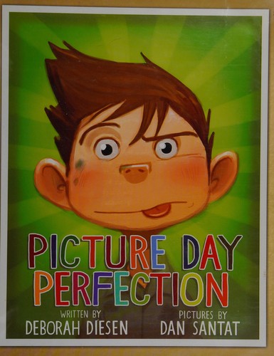 Cover of Picture day perfection