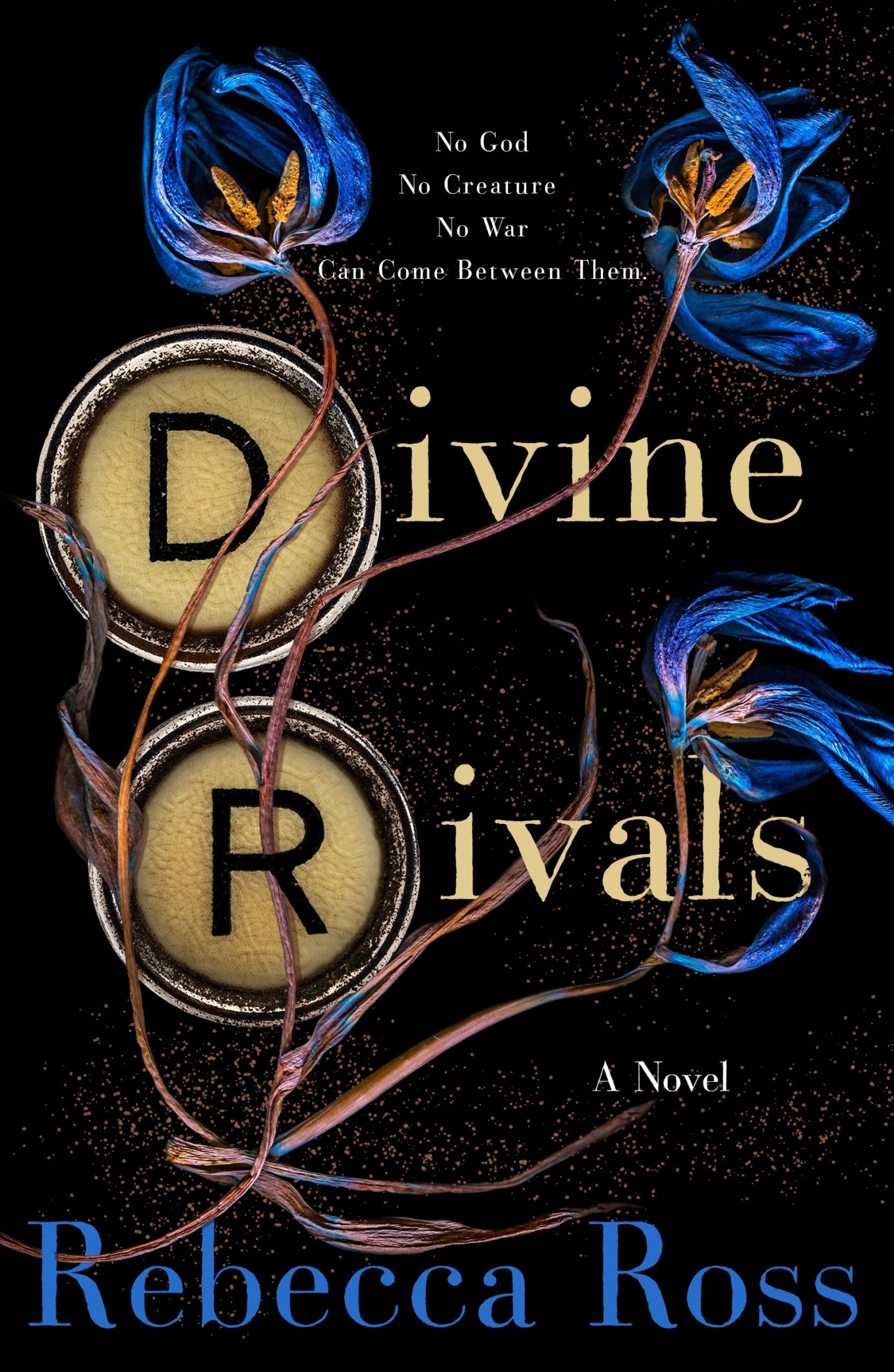 Cover of Divine Rivals