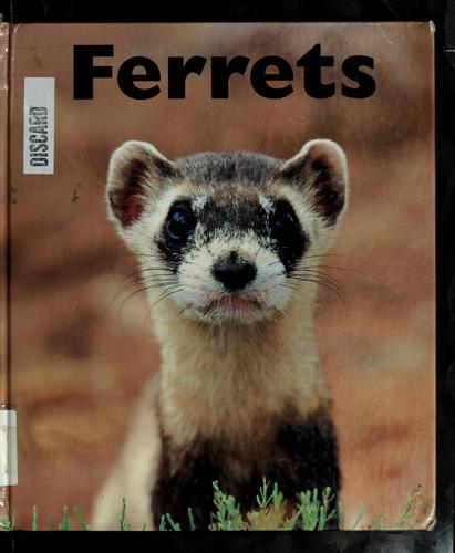 Ferrets