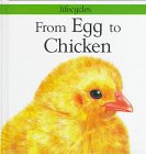 Cover of From Egg to Chicken