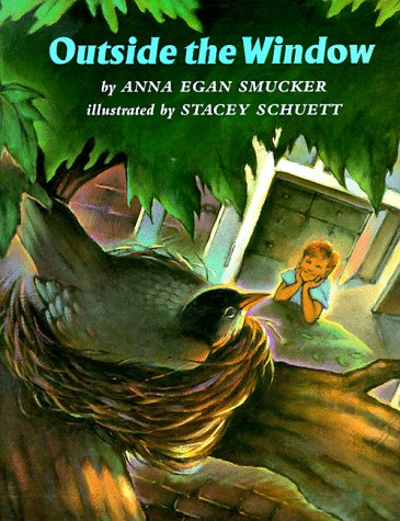 Cover of Outside the Window