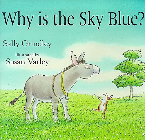 Cover of Why Is the Sky Blue?
