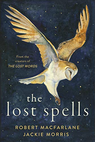 Cover of Lost Spells