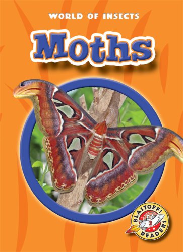 Moths