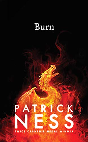 Cover of Burn