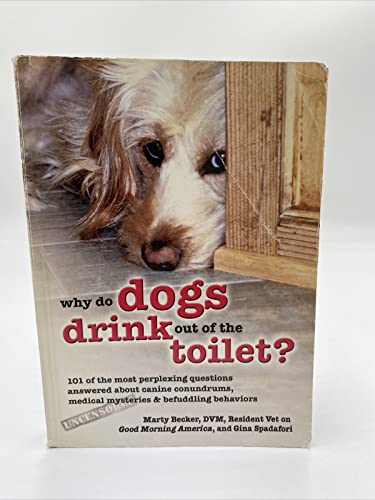 Why do dogs drink out of the toilet?
