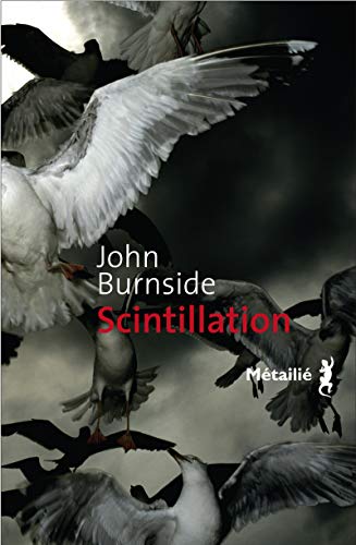 Cover of Scintillation