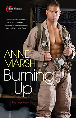Cover of Burning Up