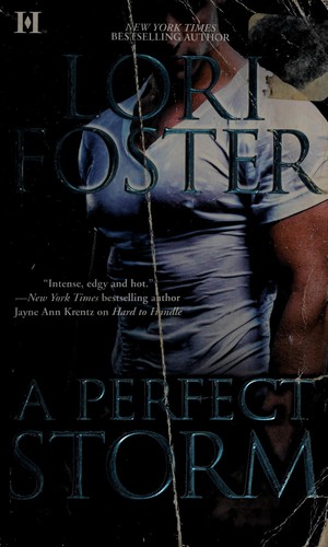 Cover of A Perfect Storm