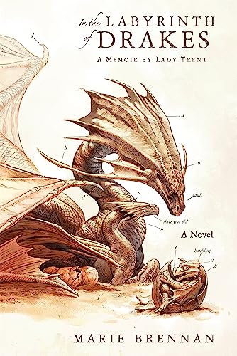 Cover of In the Labyrinth of Drakes