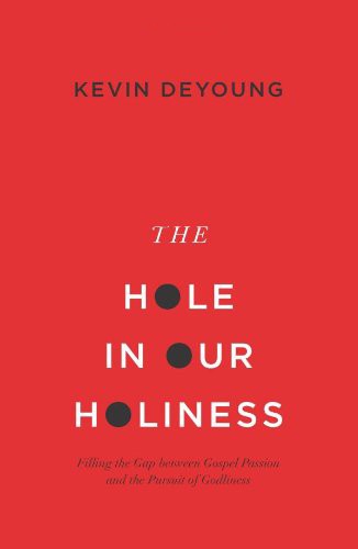 Cover of The hole in our holiness