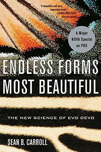Cover of Endless Forms Most Beautiful: The New Science of Evo Devo and the Making of the Animal Kingdom