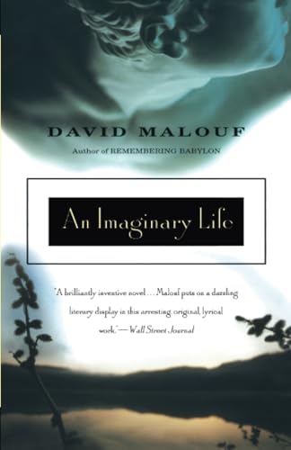 Cover of An Imaginary Life