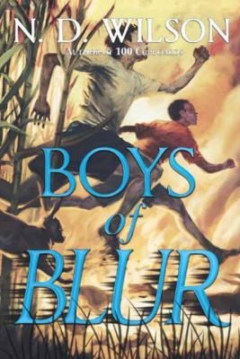 Cover of Boys of Blur