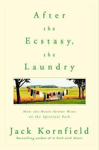Cover of After the Ecstasy, the Laundry