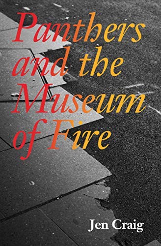 Cover of Panthers and the Museum of Fire