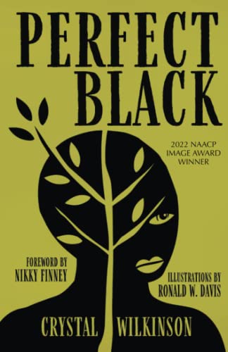 Cover of Perfect Black