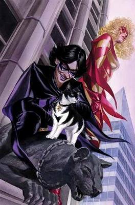 Cover of Astro City Vol. 15 Ordinary Heroes