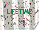 Lifetime