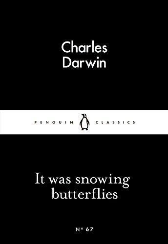 Cover of It Was Snowing Butterflies