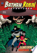 Cover of Scarecrow's Nightmare Maze