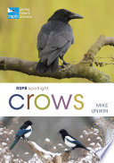 Cover of RSPB Spotlight Crows