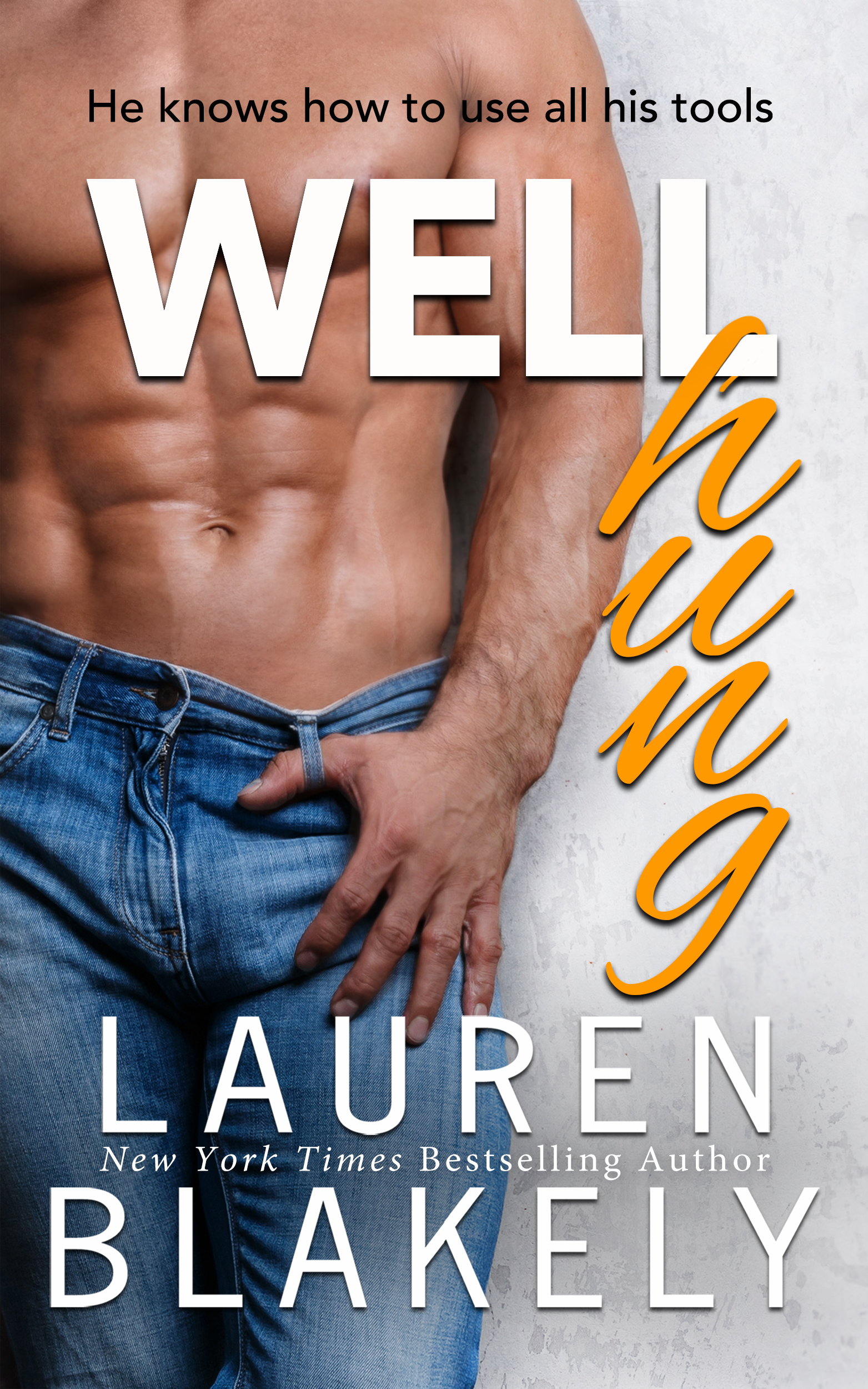 Cover of Well Hung