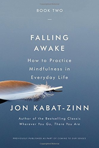 Cover of Falling Awake