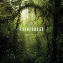 Cover of Rainforest