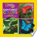 Rain Forest Colors