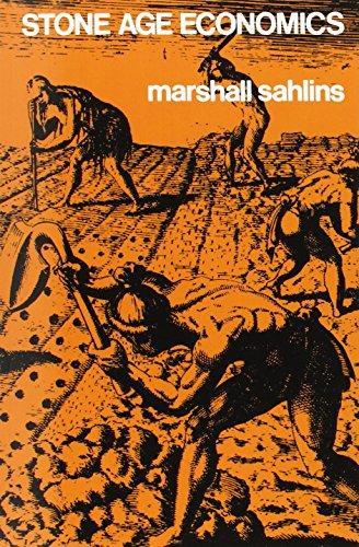 Cover of Stone Age Economics