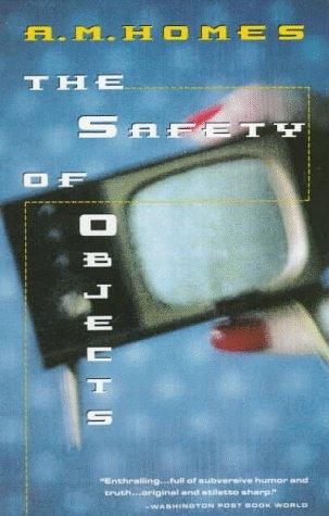 Cover of The Safety of Objects
