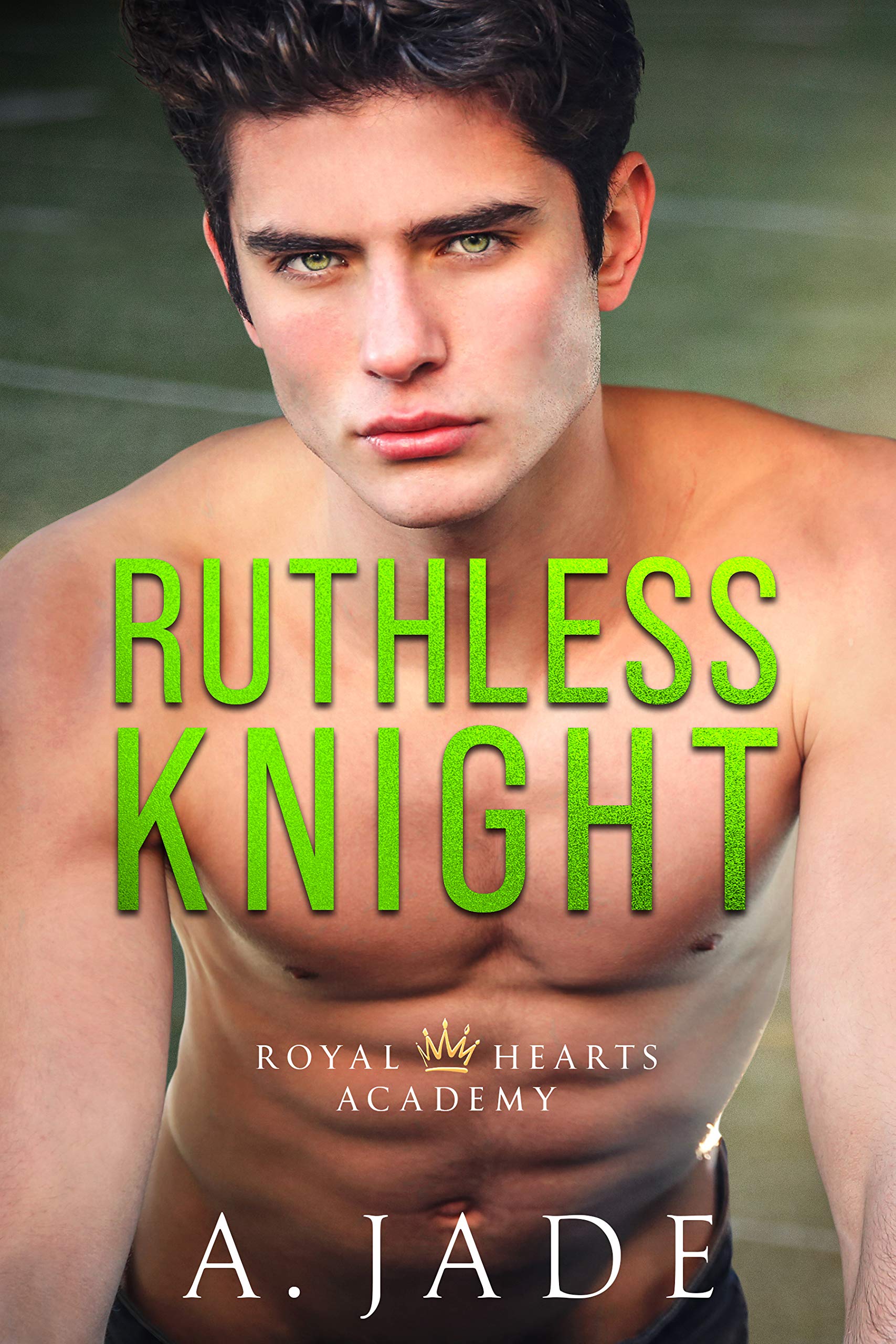 Cover of Ruthless Knight