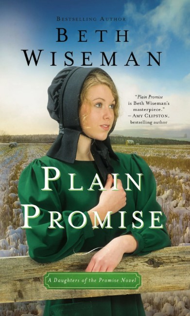 Cover of Plain Perfect