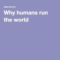 Cover of Why Humans Run The World